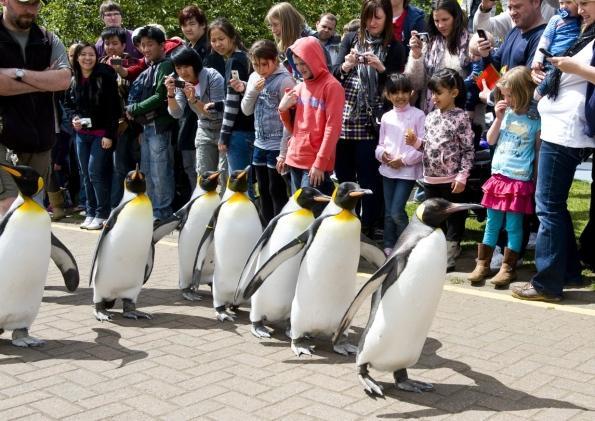 エディンバラヘイマーケットアパートメント エクステリア 写真